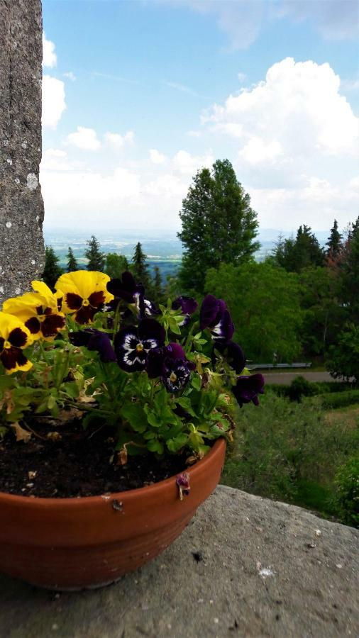 A Due Passi Dal Chianti Apartment Cavriglia Exterior photo